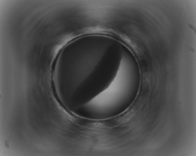 X0000097591463200803071310