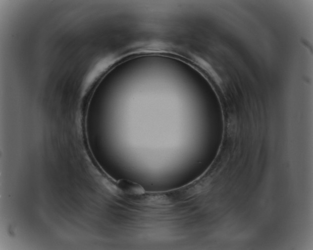 X0000097591464200803071310