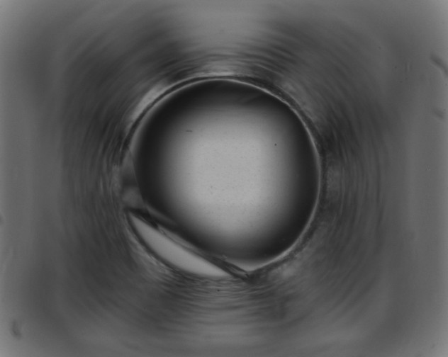 X0000097591465200803071310