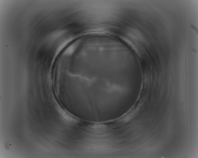 X0000097591466200803071310