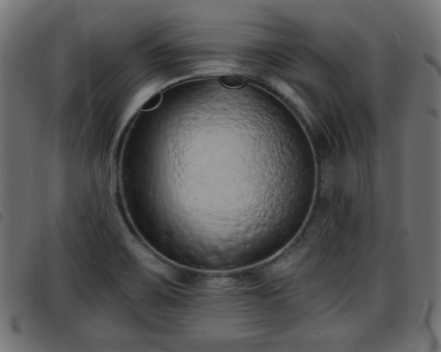 X0000097591467200803071310