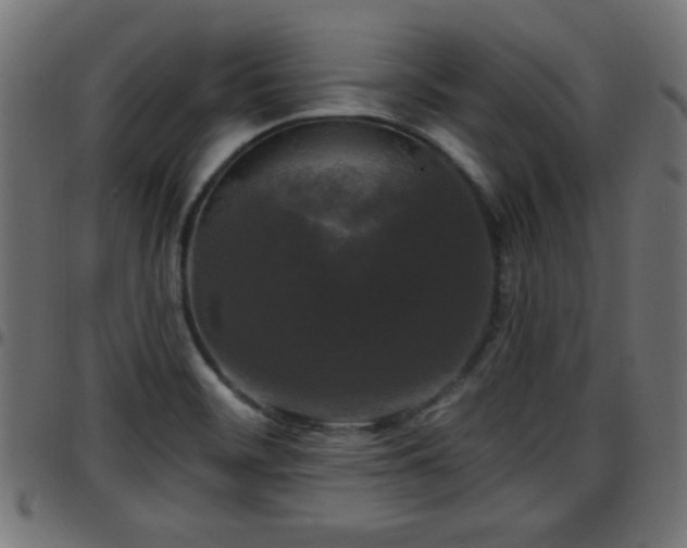 X0000097591468200803071310