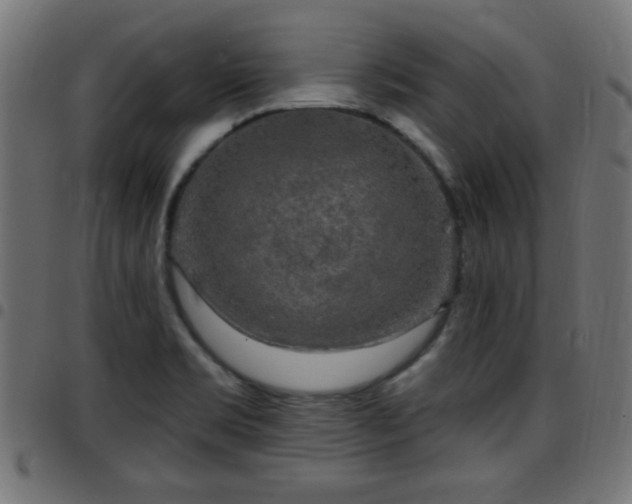 X0000097591469200803071310