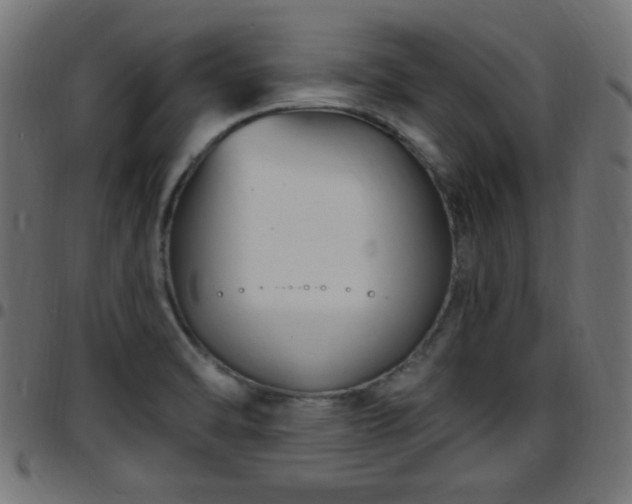 X0000097591470200803071310