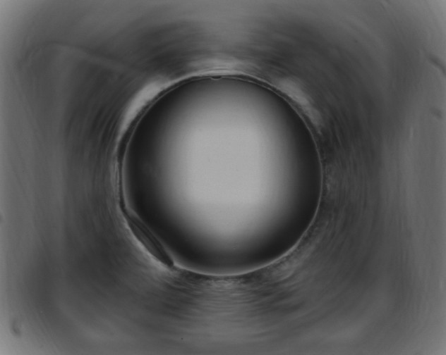 X0000097591472200803071310