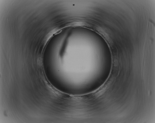 X0000097591473200803071310