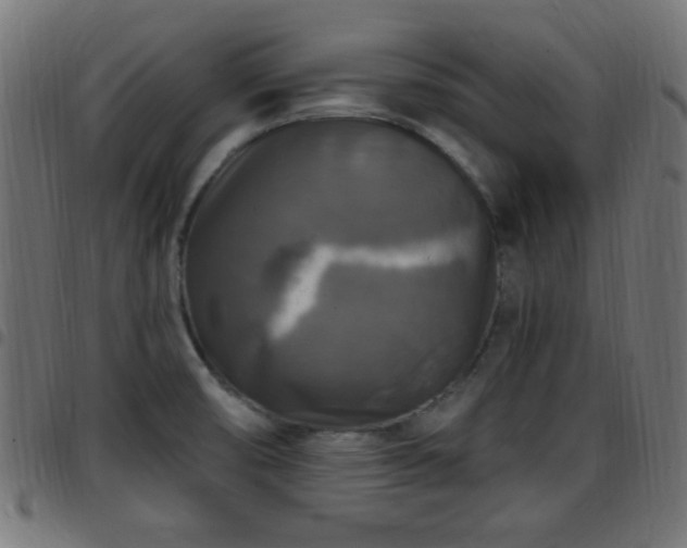 X0000097591474200803071310
