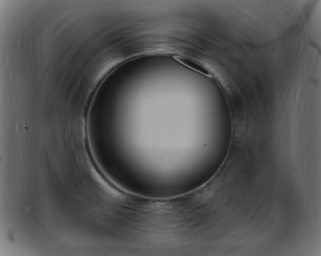 X0000097591476200803071309