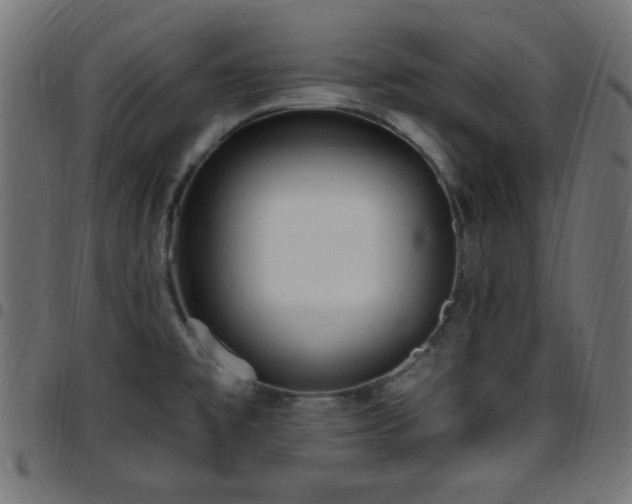 X0000097591477200803071309