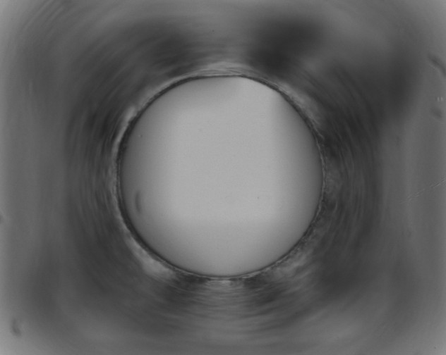 X0000097591478200803071309