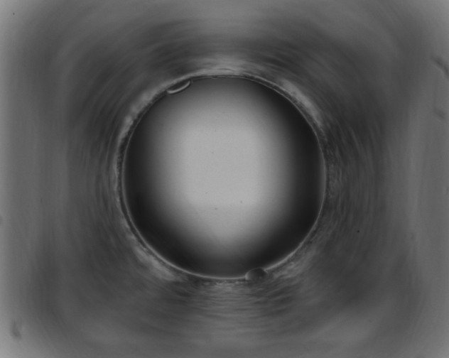 X0000097591480200803071309