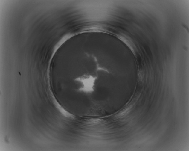 X0000097591482200803071309