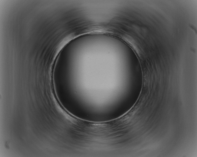 X0000097591483200803071309