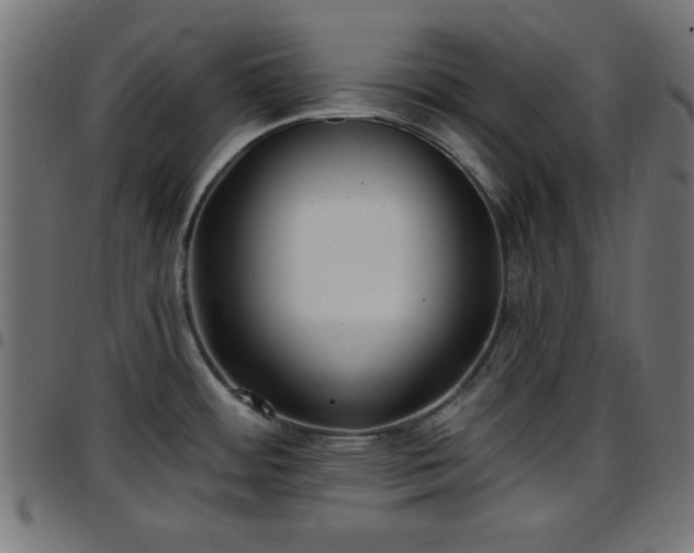 X0000097591484200803071309