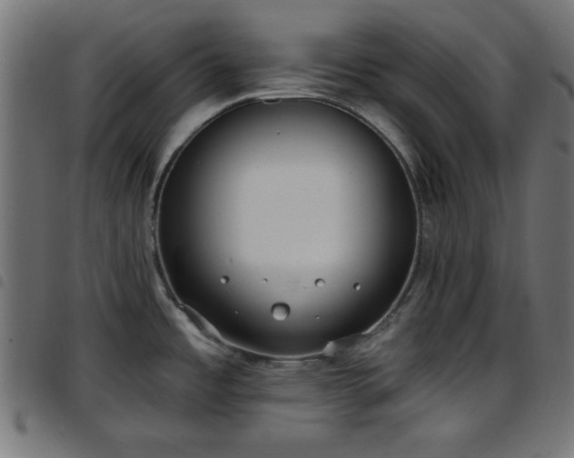X0000097591485200803071309
