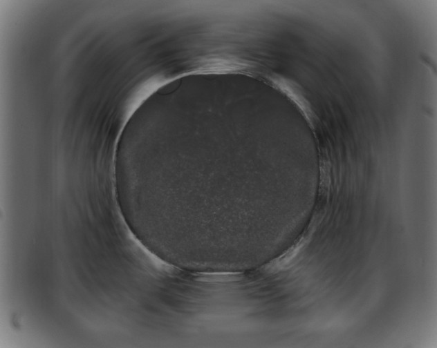 X0000097591487200803071309