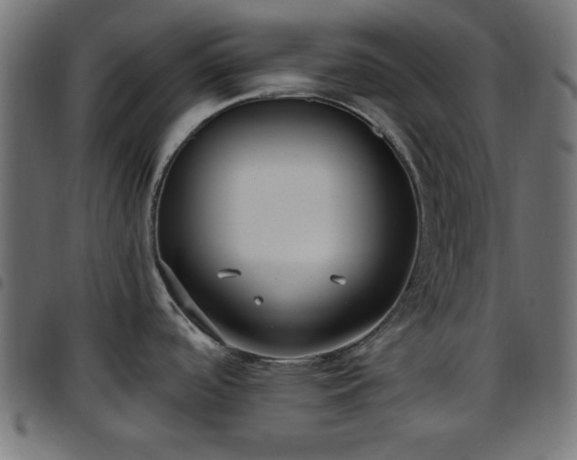 X0000097591488200803071309