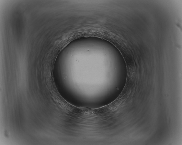 X0000097591489200803071309