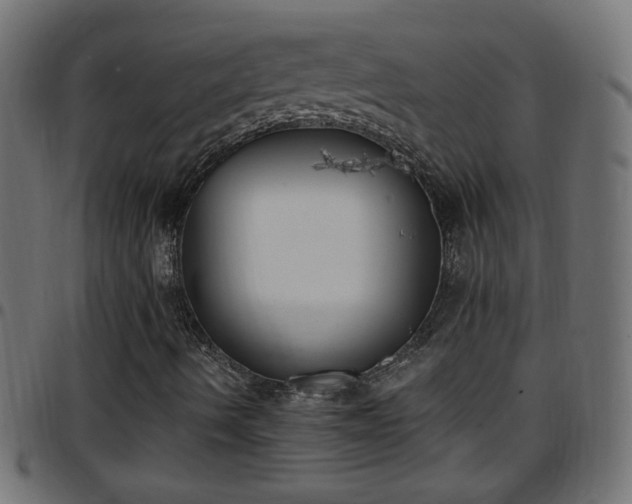X0000097591490200803071309