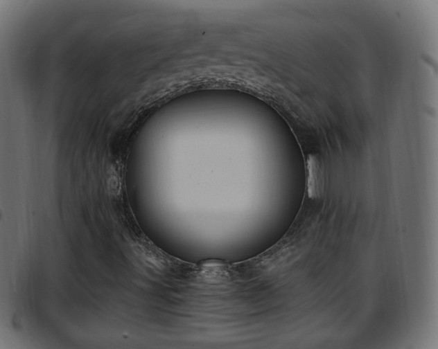 X0000097591491200803071309