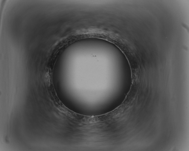 X0000097591493200803071309