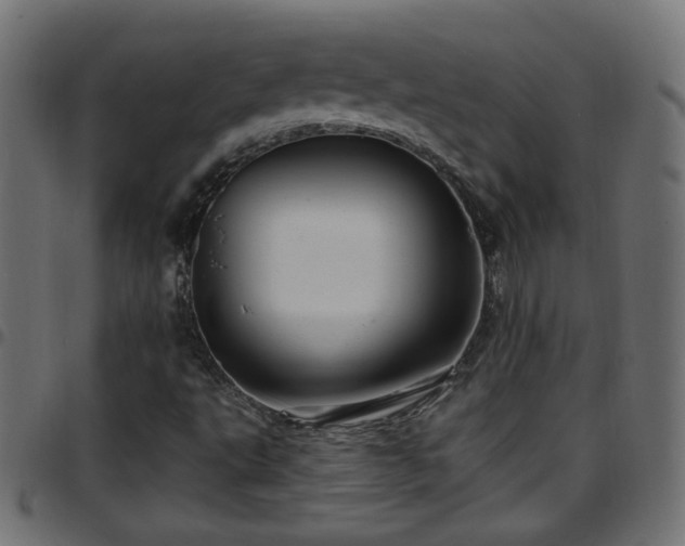 X0000097591495200803071309