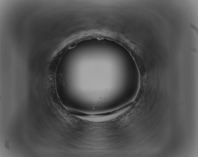 X0000097591496200803071309