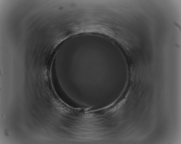 X0000097591497200803071309