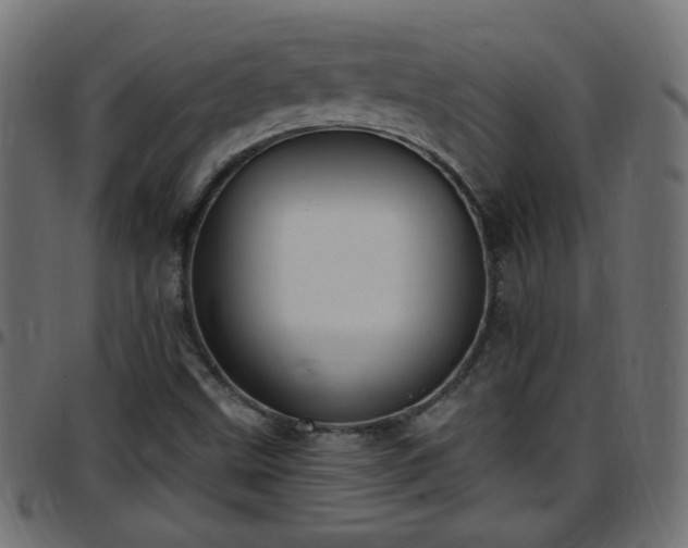 X0000097591499200803071309