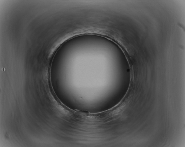 X0000097591500200803071309