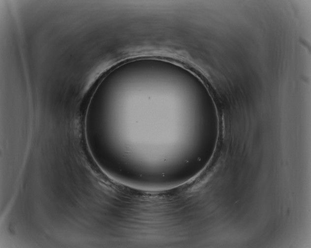 X0000097591501200803071309
