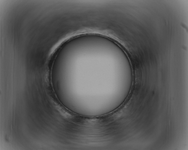 X0000097591502200803071309