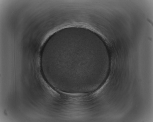 X0000097591506200803071309