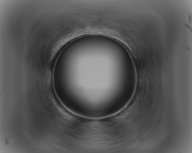 X0000097591507200803071309