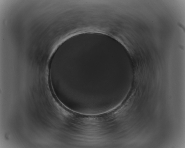 X0000097591508200803071309