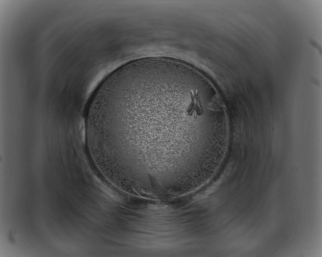 X0000097591509200803071309