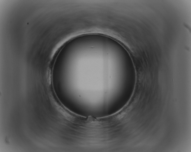 X0000097591510200803071309