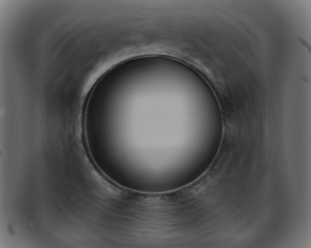 X0000097591512200803071309