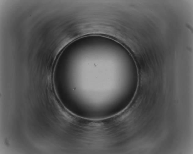 X0000097591513200803071309