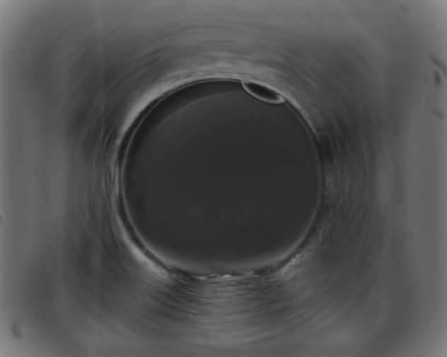 X0000097591515200803071309