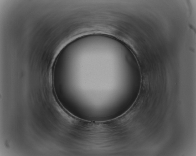 X0000097591516200803071309