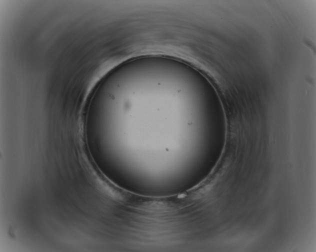 X0000097591517200803071309
