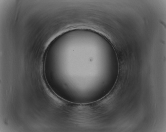 X0000097591518200803071309