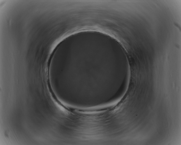 X0000097591519200803071309