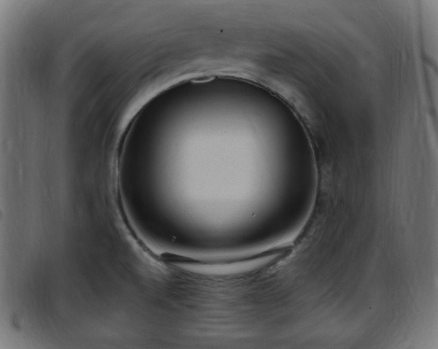 X0000097591520200803071309