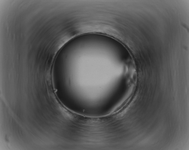 X0000097591521200803071309