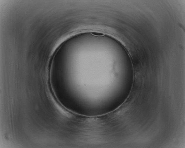 X0000097591523200803071309