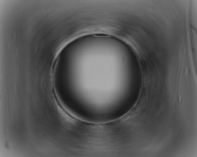 X0000097591524200803071309