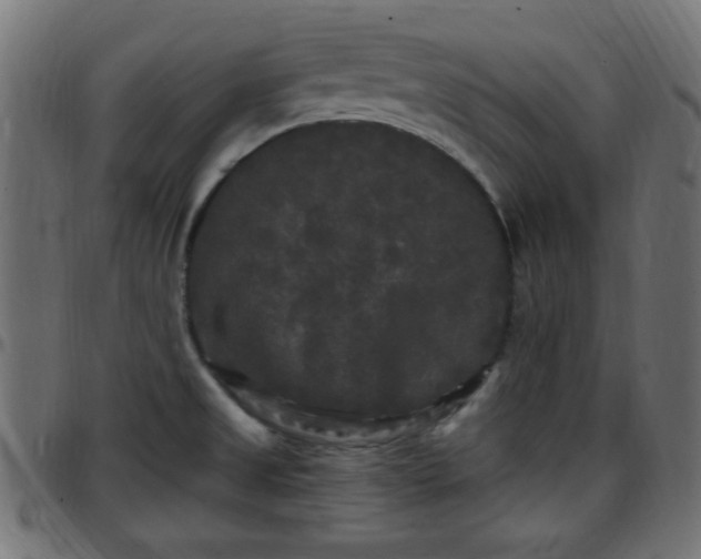 X0000097591525200803071309