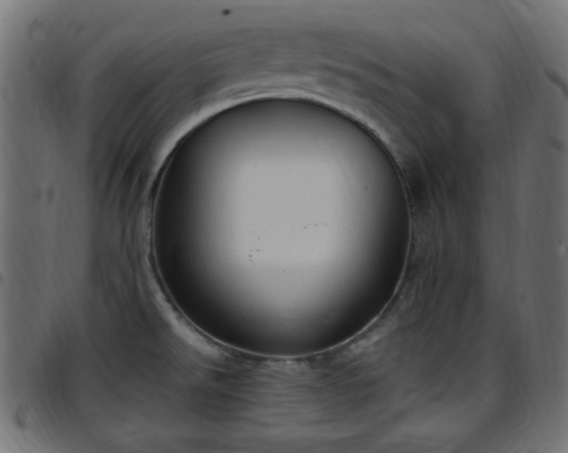 X0000097591526200803071309